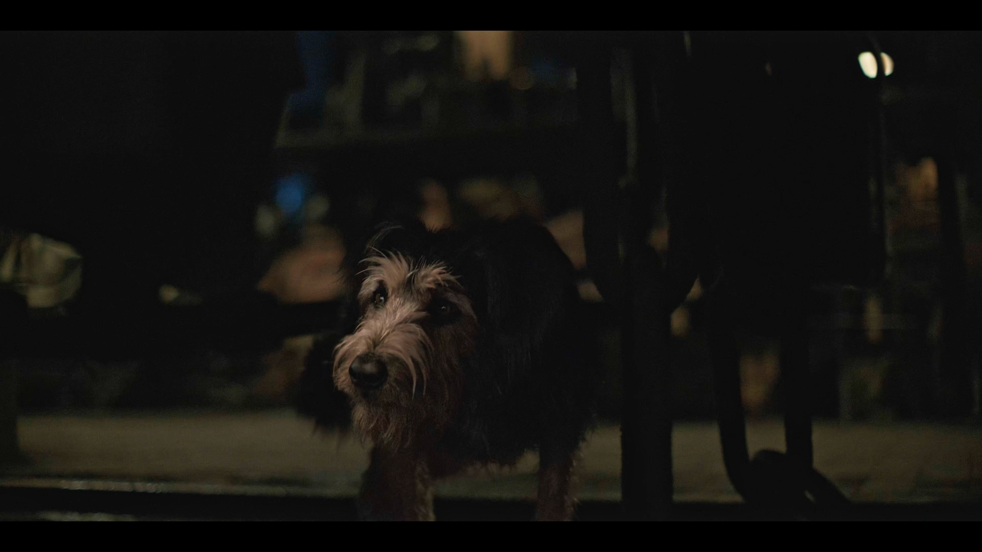 Still 2025 11 01 162053 1.10.1